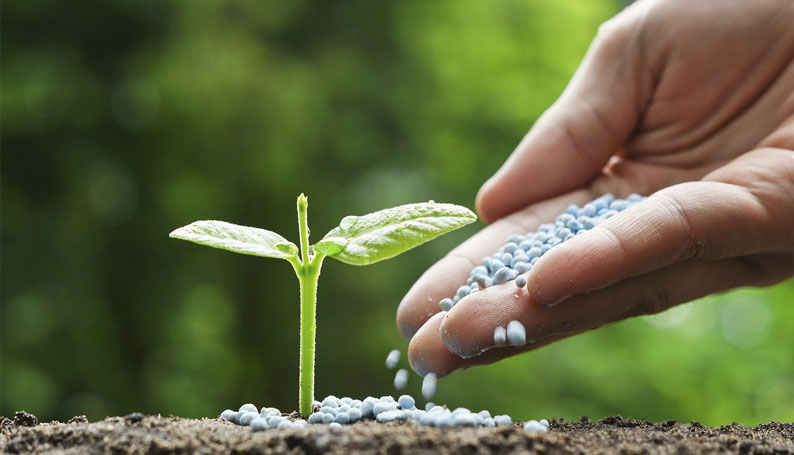 Thực phẩm sạch có thực sự sạch như bạn nghĩ ?